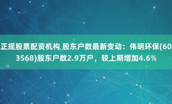 正规股票配资机构 股东户数最新变动：伟明环保(603568)股东户数2.9万户，较上期增加4.6%