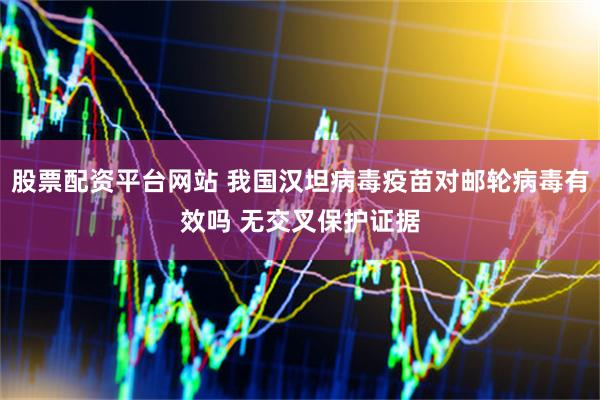 股票配资平台网站 我国汉坦病毒疫苗对邮轮病毒有效吗 无交叉保护证据